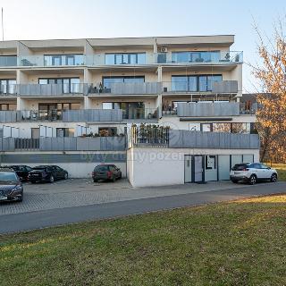 Pronájem bytu 3+kk 75 m² Olomouc, Wellnerova