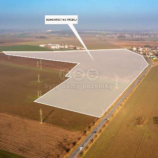 Prodej zemědělské půdy 177 739 m² Čepí