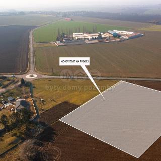 Prodej zemědělské půdy 20 299 m² Čepí