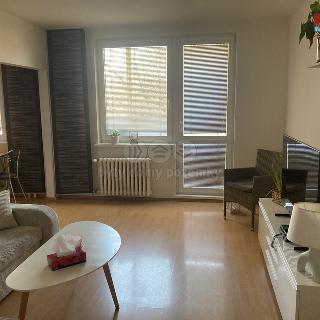 Pronájem bytu 3+1 69 m² Hranice, Jaselská