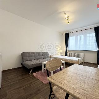 Pronájem bytu 1+1 33 m² Sokolov, Nábřežní