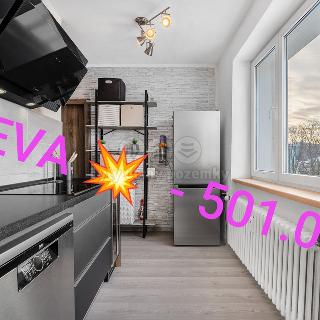 Prodej bytu 3+1 65 m² Žandov, Volfartická