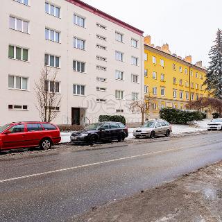 Pronájem bytu 1+1 35 m² Jihlava, Žižkova