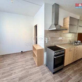 Pronájem bytu 2+1 61 m² Chomutov, Pod Břízami