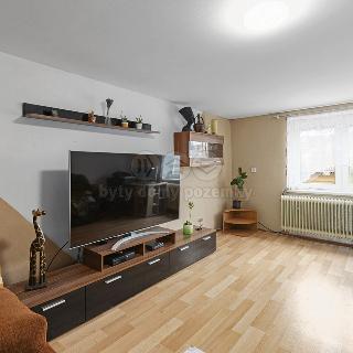 Prodej bytu 5+1 a více 110 m² Ohnišov