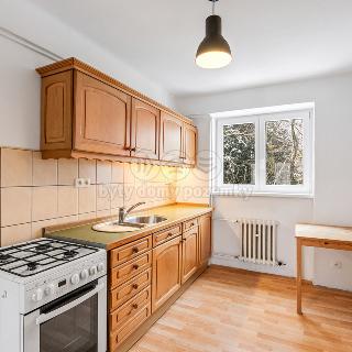 Prodej bytu 2+1 48 m² Ústí nad Labem, Železná