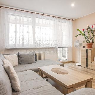 Prodej bytu 3+1 76 m² Cvikov, Sídliště