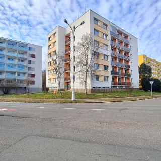 Prodej bytu 3+1 69 m² Hradec Králové, Hradecká