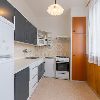 Pronájem bytu 3+1 68 m² Tábor, Pod Nemocnicí