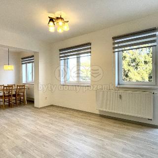 Pronájem bytu 2+kk 58 m² Žamberk, Divišova