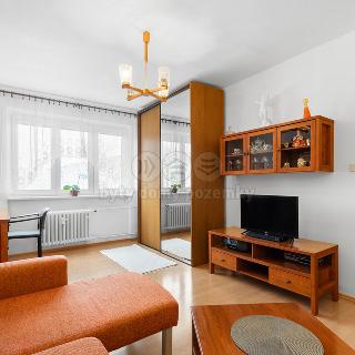 Prodej bytu 1+1 37 m² Kladno, Havanská