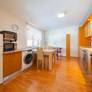 Pronájem bytu 1+1 49 m² Horní Slavkov, Dlouhá