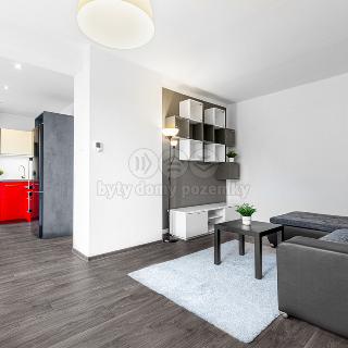 Prodej bytu 3+1 60 m² Ražice