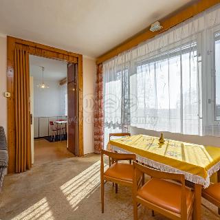 Prodej bytu 4+1 73 m² Týniště nad Orlicí, Okružní