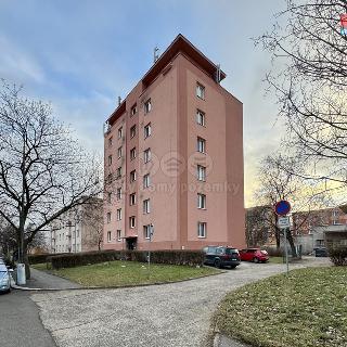 Pronájem bytu 2+1 50 m² Chomutov, Čechova