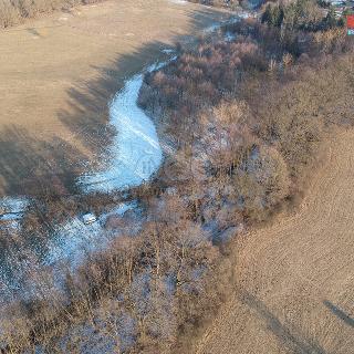 Prodej zemědělské půdy 203 m² Borohrádek