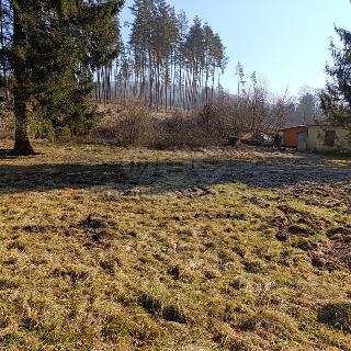 Prodej stavební parcely 1 037 m² Sentice