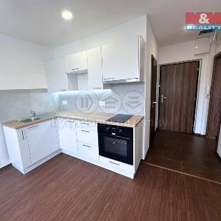 Pronájem bytu 1+1 39 m² Jirkov, U Sauny