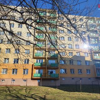 Prodej bytu 3+1 63 m² Havířov, Škroupova