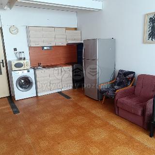 Pronájem bytu 1+kk a garsoniéry 33 m² Orlová, F. S. Tůmy