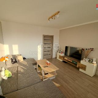 Prodej bytu 3+1 67 m² Paskov, Papírenská