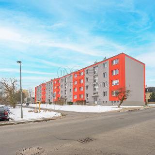 Prodej bytu 2+1 55 m² Louny, Přemyslovců