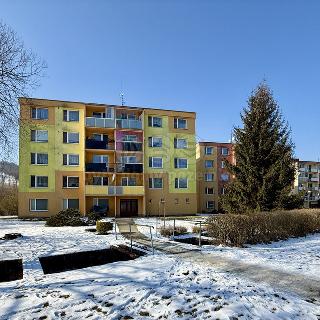 Prodej bytu 2+1 50 m² Olšany