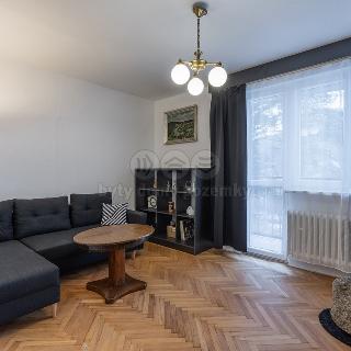 Prodej bytu 2+1 57 m² Nejdek, J. A. Gagarina