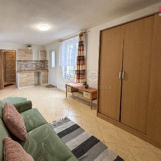 Pronájem bytu 1+kk a garsoniéry 30 m² Terezín