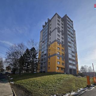 Prodej bytu 1+kk a garsoniéry 28 m² Ostrava, Lumírova