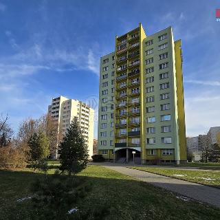 Prodej bytu 1+kk a garsoniéry 27 m² Ostrava, Hornopolní