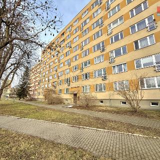 Pronájem bytu 2+1 56 m² Ostrava, Bohumínská