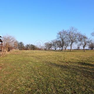 Prodej zemědělské půdy 8 245 m² Miskovice