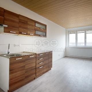 Pronájem bytu 1+1 41 m² Kralupy nad Vltavou, Šafaříkova