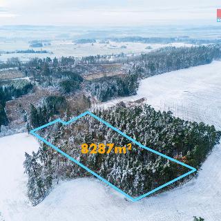 Prodej lesa 8 287 m² Budišov