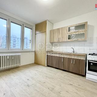 Pronájem bytu 1+1 40 m² Sokolov, Závodu míru