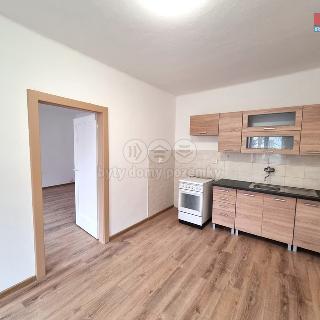 Pronájem bytu 1+1 60 m² Ostrava