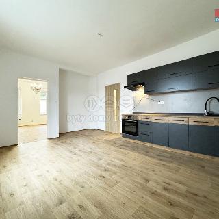 Pronájem bytu 2+1 70 m² Karlovy Vary, Nerudova