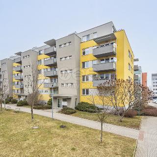 Prodej bytu 4+kk 79 m² Hradec Králové, Labská louka