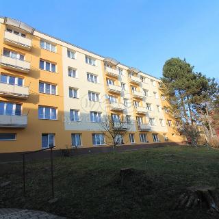 Pronájem bytu 1+1 45 m² Děčín, Kamenická