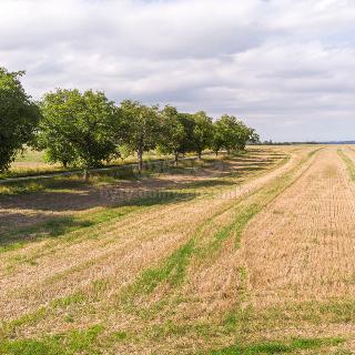 Prodej stavební parcely 1 964 m² Brumovice