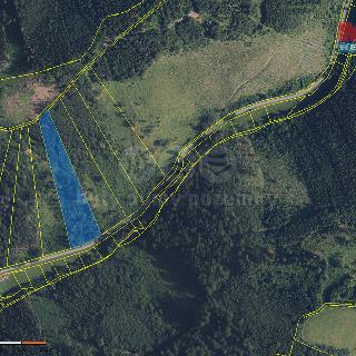 Prodej lesa 12967 m² Nemile