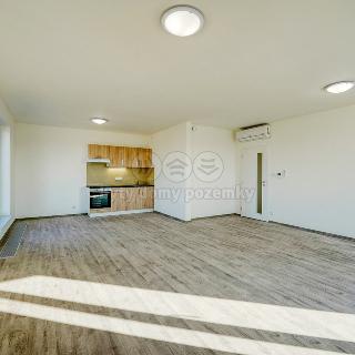 Pronájem bytu 3+kk 96 m² Plzeň, Železniční