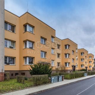 Prodej bytu 3+1 92 m² Bakov nad Jizerou, Družstevní