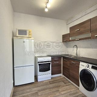 Pronájem bytu 1+kk a garsoniéry 27 m² Most, Česká