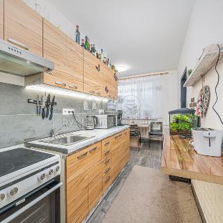 Prodej bytu 3+1 72 m² Loučná nad Desnou