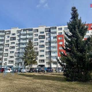 Prodej bytu 3+1 74 m² Ostrava, Výškovická