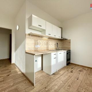 Pronájem bytu 1+1 38 m² Habartov, Raisova