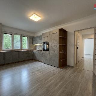 Pronájem bytu 3+kk 56 m² Karviná, tř. Těreškovové