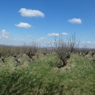 Prodej komerčního pozemku 1 275 m² Kutná Hora